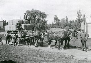 Outside Brookwood woolshed around 1910 - Mathias Paulsen on the right