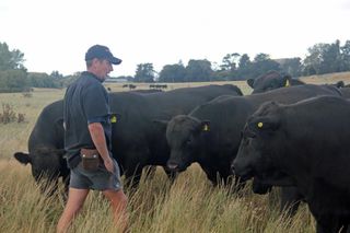 Jk with Bulls