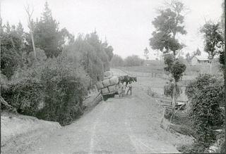 Brookwoods main entrance in around 1910