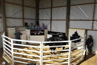 Bull Sale 2021
