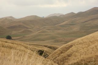 summer hills
