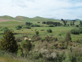 Wetlands